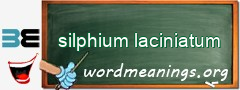 WordMeaning blackboard for silphium laciniatum